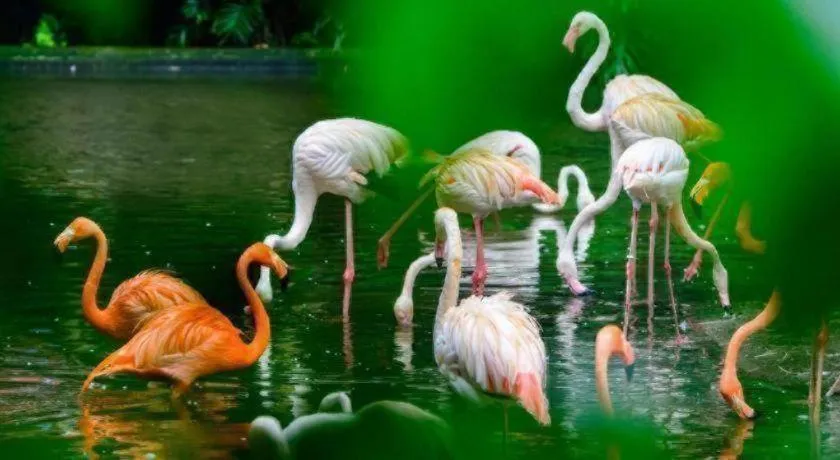 7 Days Inn Guangzhou East Station Yantang Tianpingjia Metro Station