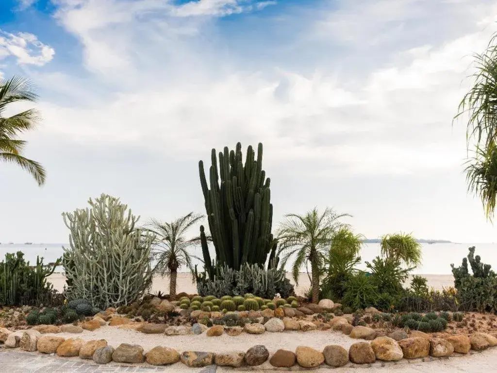 D'Season Premiere Hotel D'Season Premiere Hotel