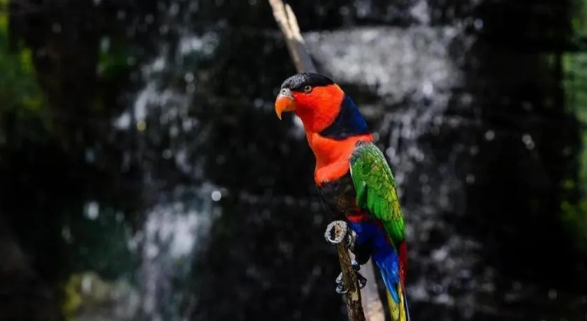 Aveon Express Hotel Yogyakarta by Daphna International