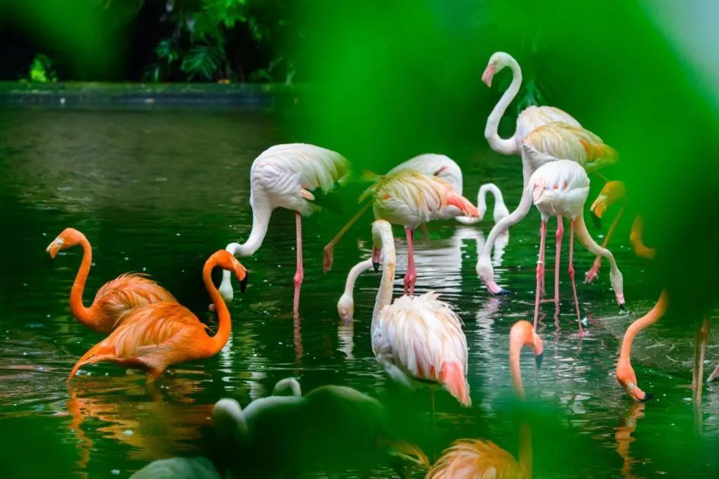 XingHe Hotel Guangzhou East Railway Station Branch