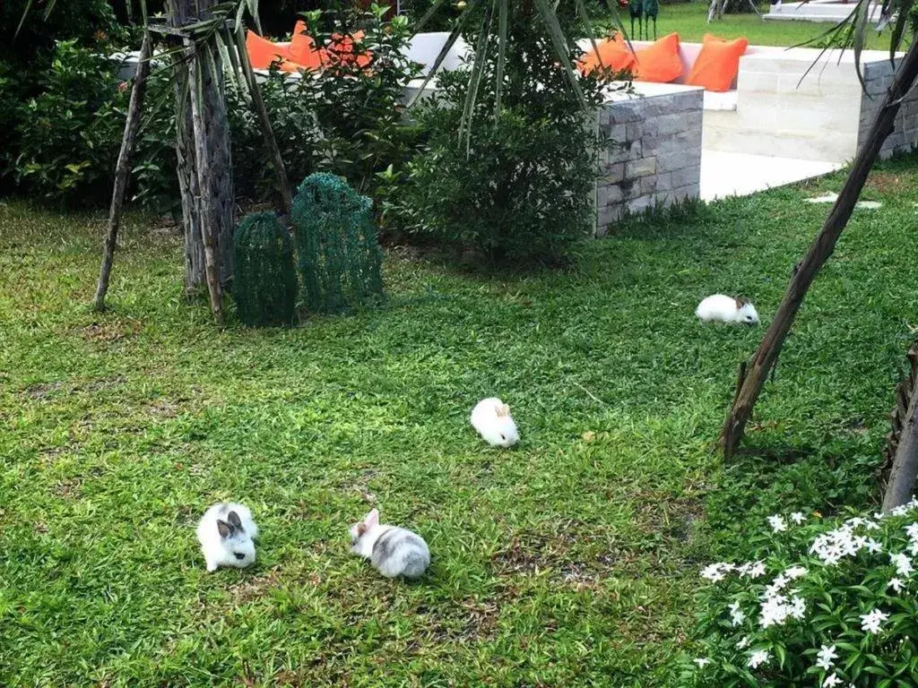 V Valley Resort V Valley Resort