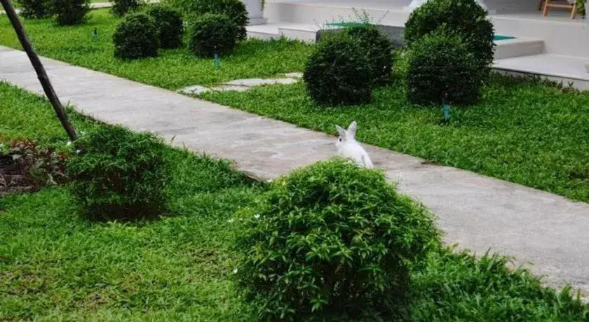 V Valley Resort V Valley Resort