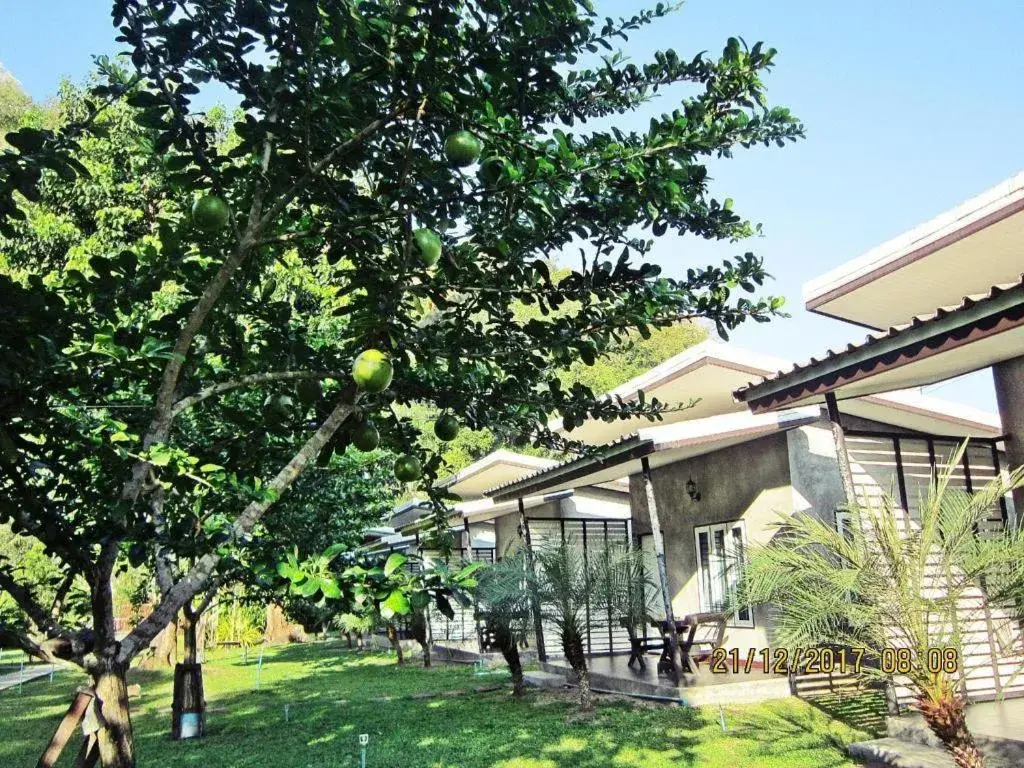 V Valley Resort V Valley Resort