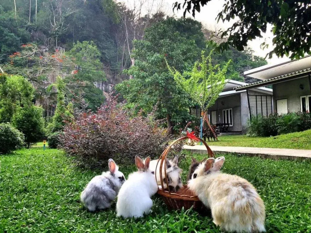 V Valley Resort V Valley Resort