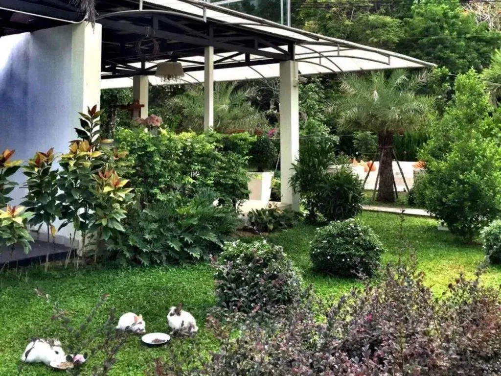 V Valley Resort V Valley Resort