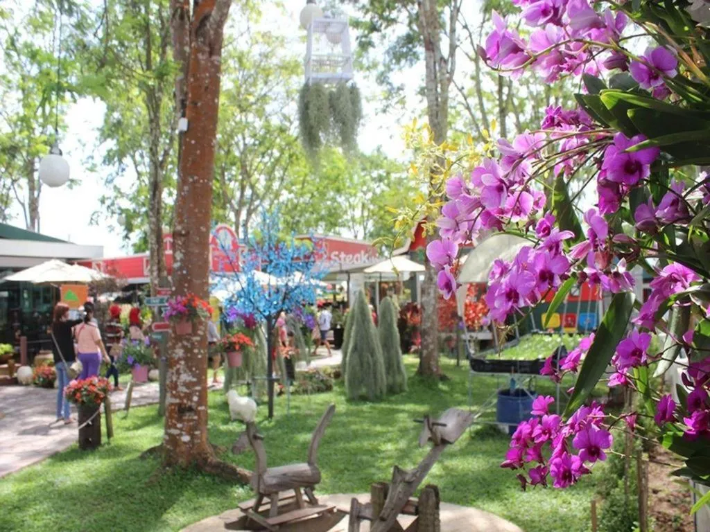 Montana Cotswolds Resort