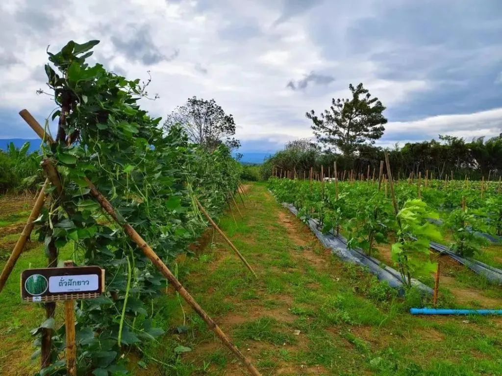 Montana Cotswolds Resort