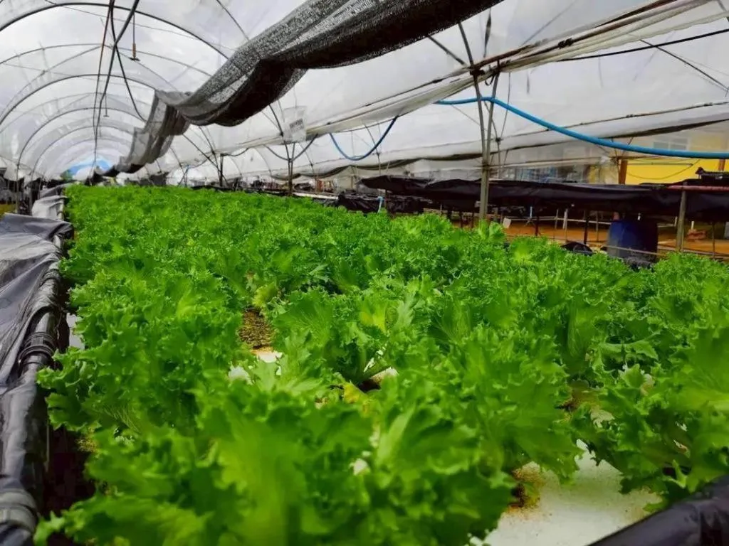 Montana Cotswolds Resort