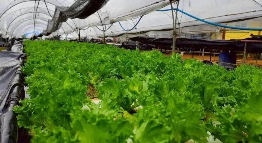 Montana Cotswolds Resort