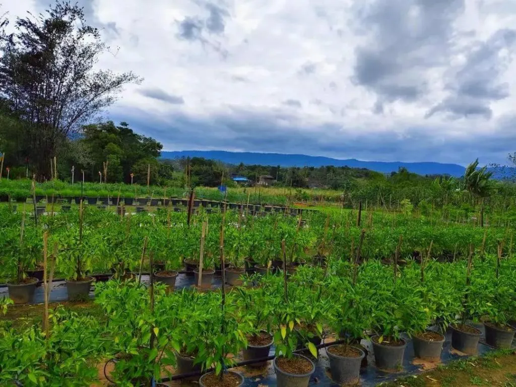 Montana Cotswolds Resort