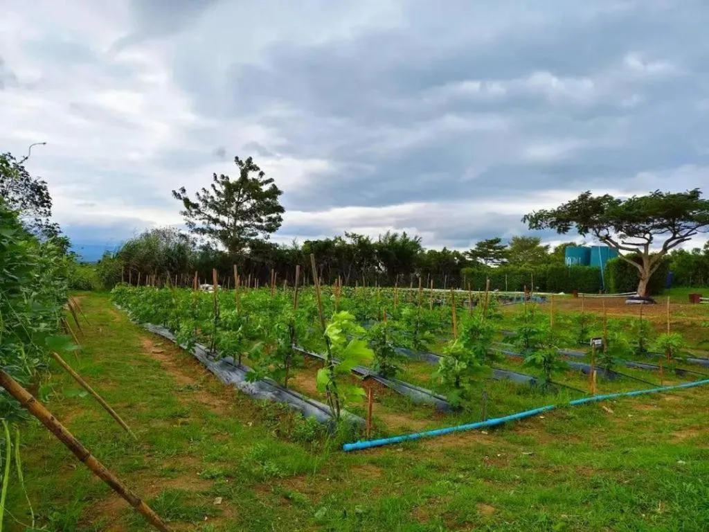 Montana Cotswolds Resort