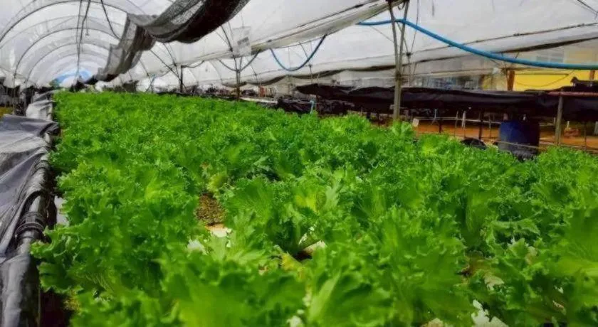 Montana Cotswolds Resort