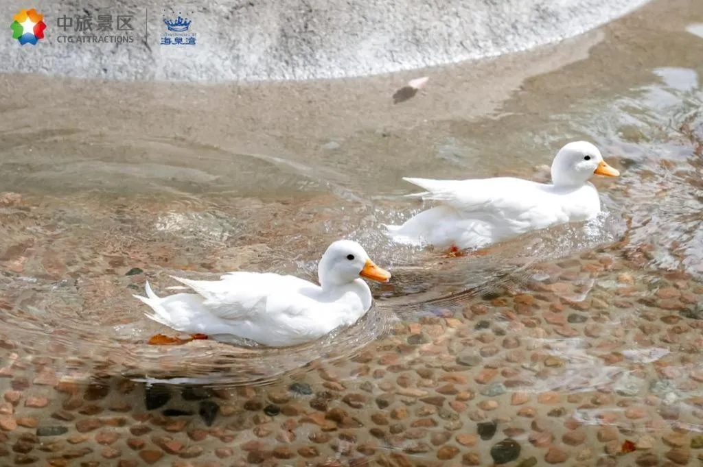 Ocean Spring Metropark Hotel Zhuhai