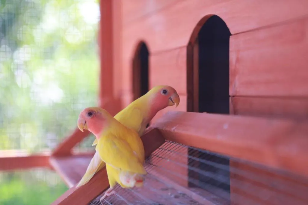 Ocean Spring Metropark Hotel Zhuhai