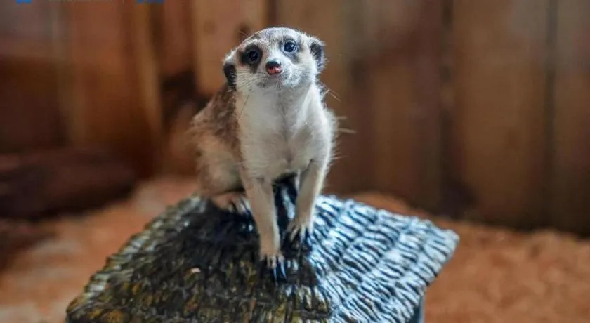 Ocean Spring Metropark Hotel Zhuhai