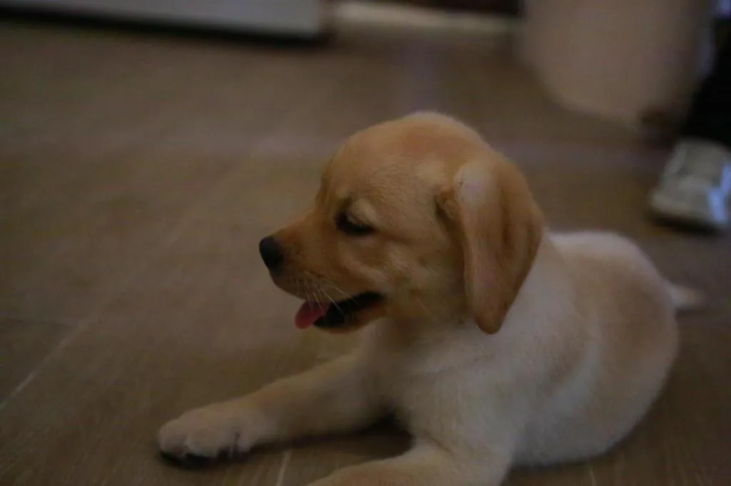 Ocean Spring Metropark Hotel Zhuhai