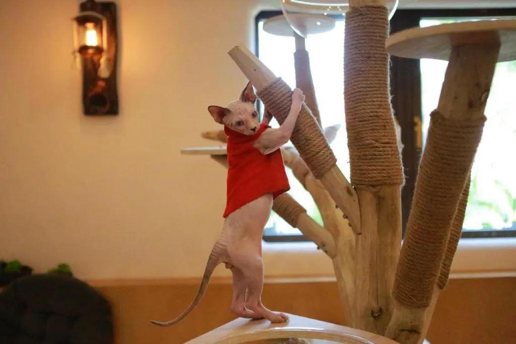 Ocean Spring Metropark Hotel Zhuhai