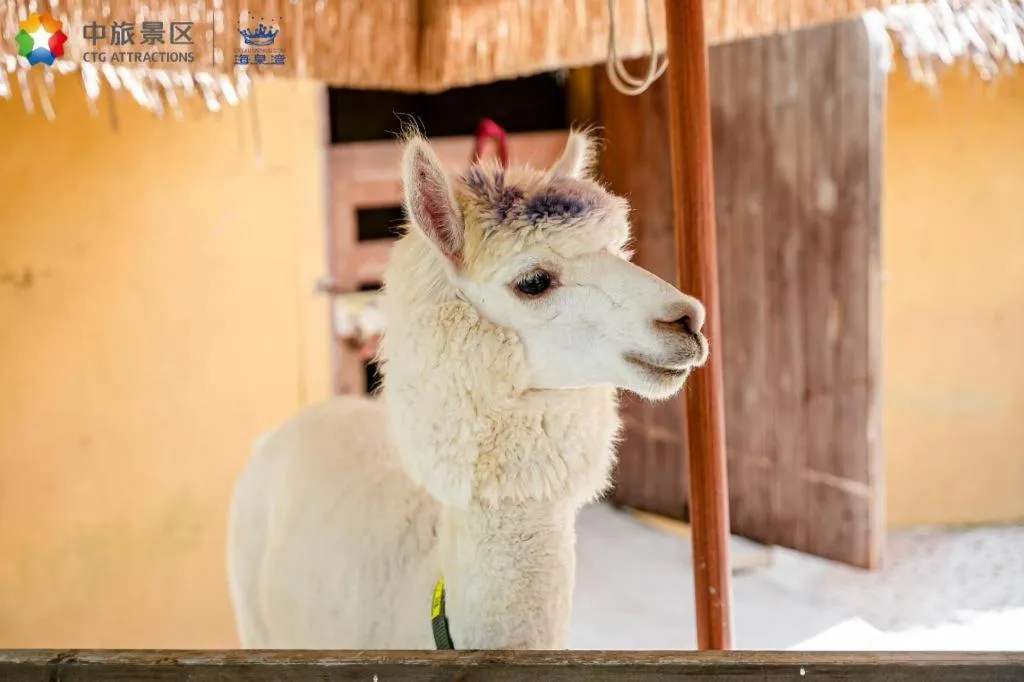 Ocean Spring Metropark Hotel Zhuhai