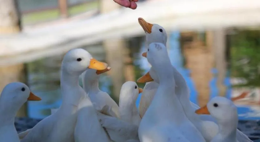 Ocean Spring Metropark Hotel Zhuhai