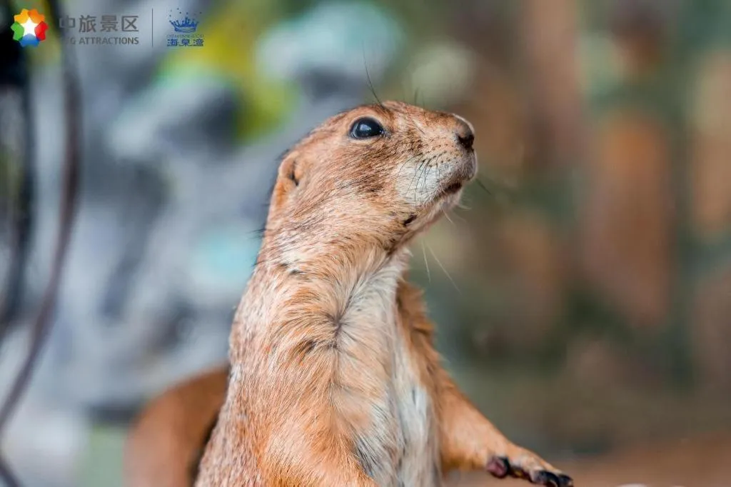 Ocean Spring Metropark Hotel Zhuhai