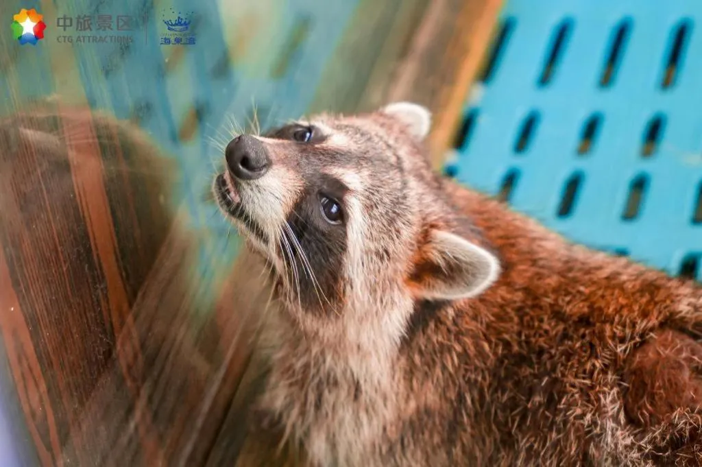 Ocean Spring Metropark Hotel Zhuhai