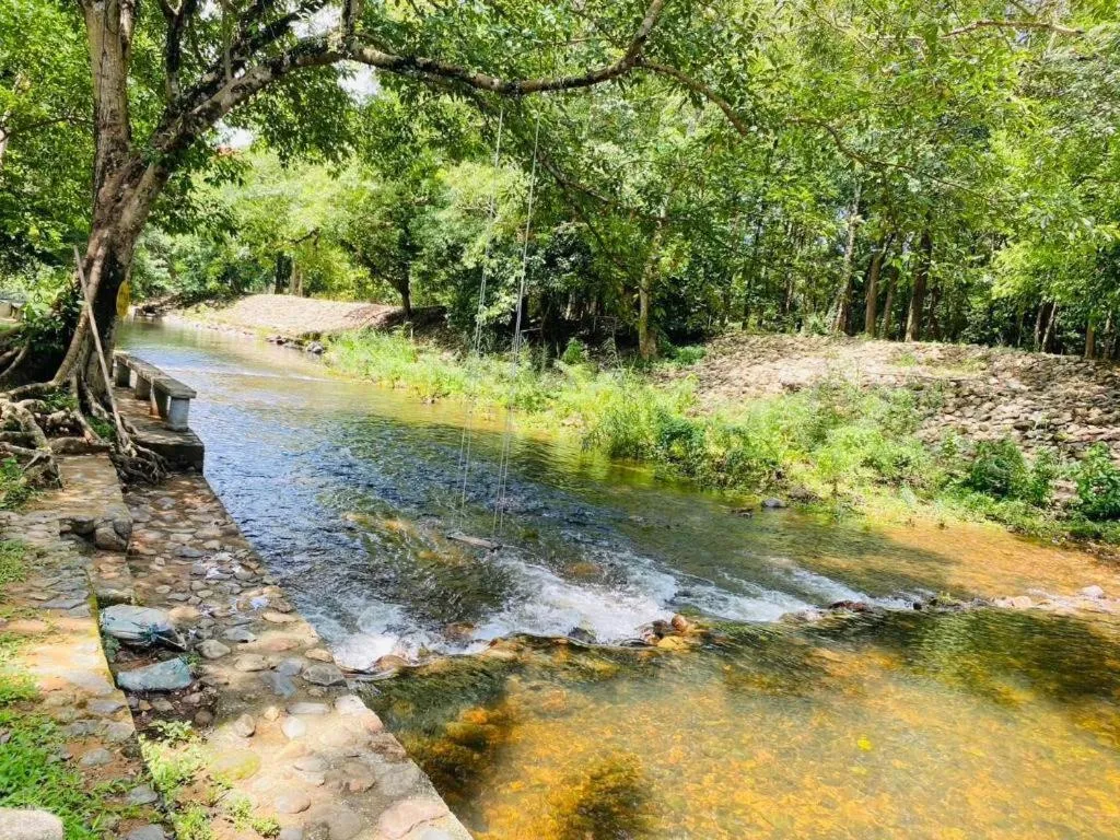 Ma-Kham Forest Resort