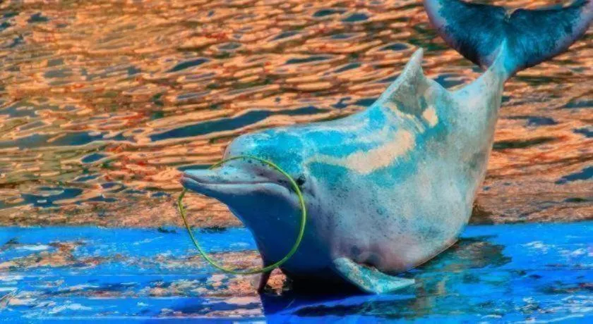 The Pride Hotel At Laemsing