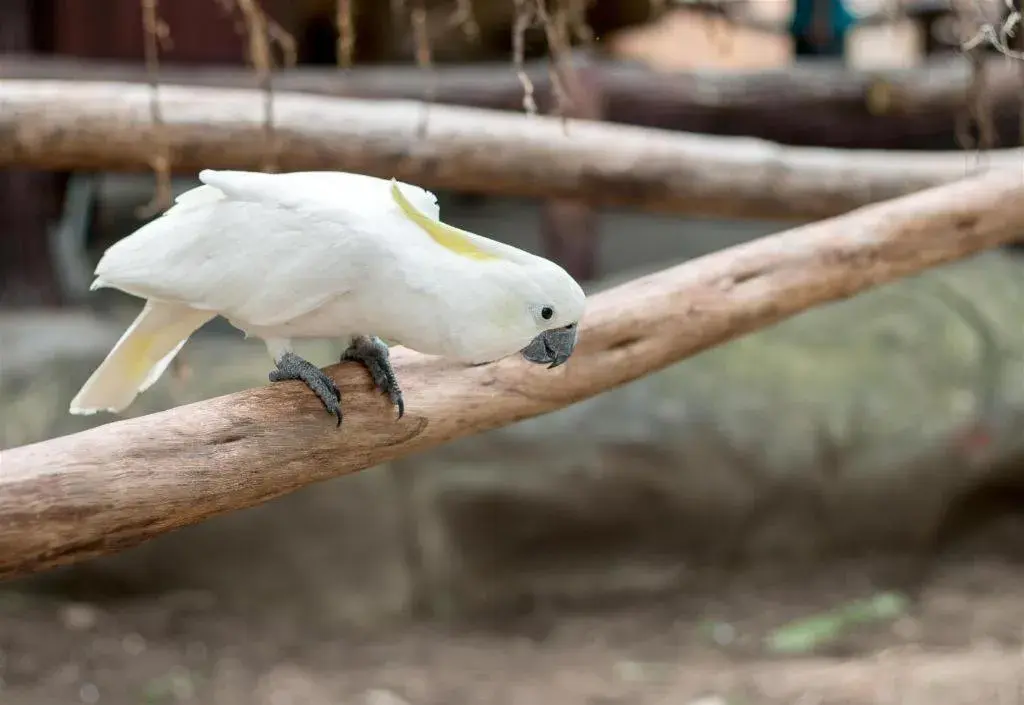 Kingsleys Hotel and Gastro Pub Kingsleys Hotel and Gastro Pub