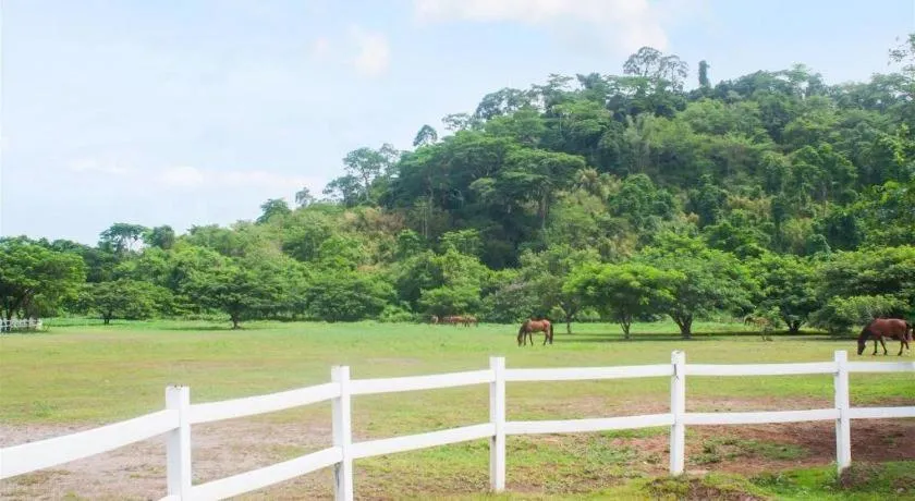 Kingsleys Hotel and Gastro Pub