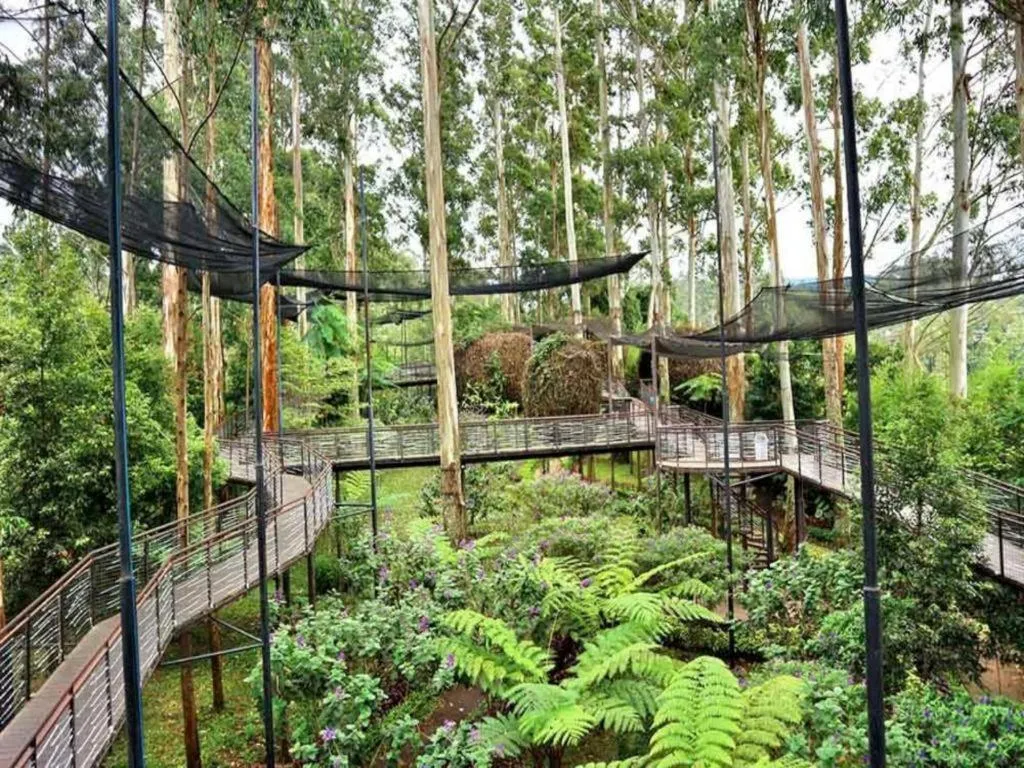 Dusun Bambu Resort
