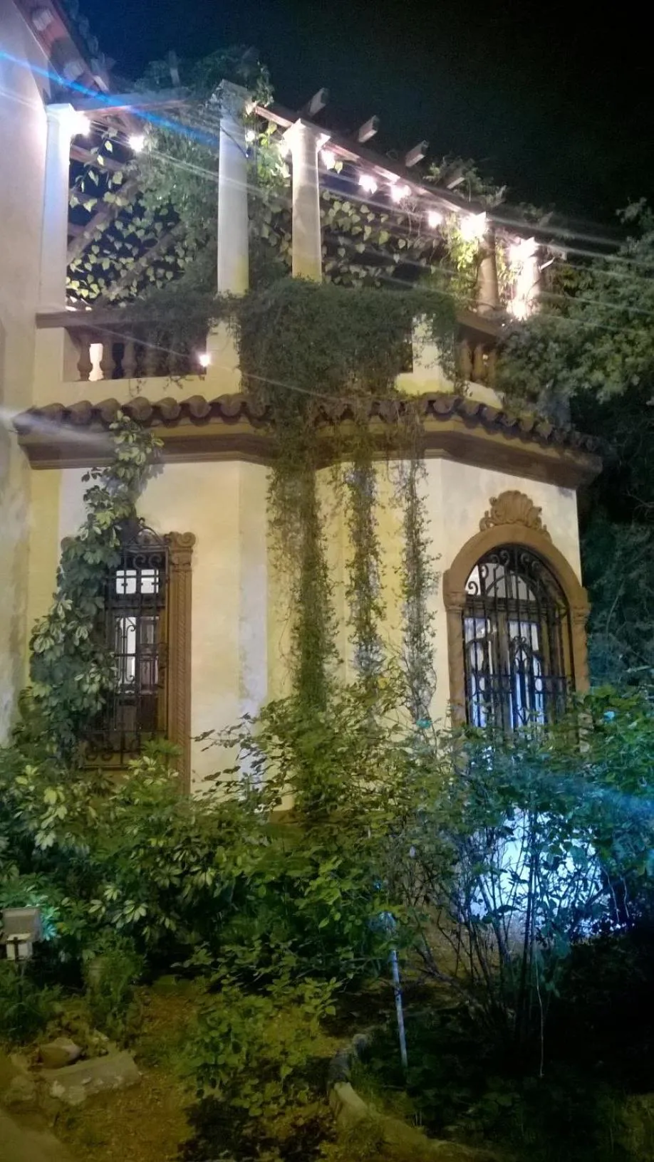 Posada Chalet de Bassi