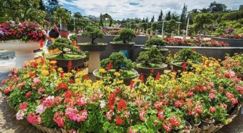 Dalat Flower Hotel & Spa