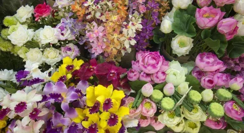 The Y Boutique Hotel The Y Boutique Hotel