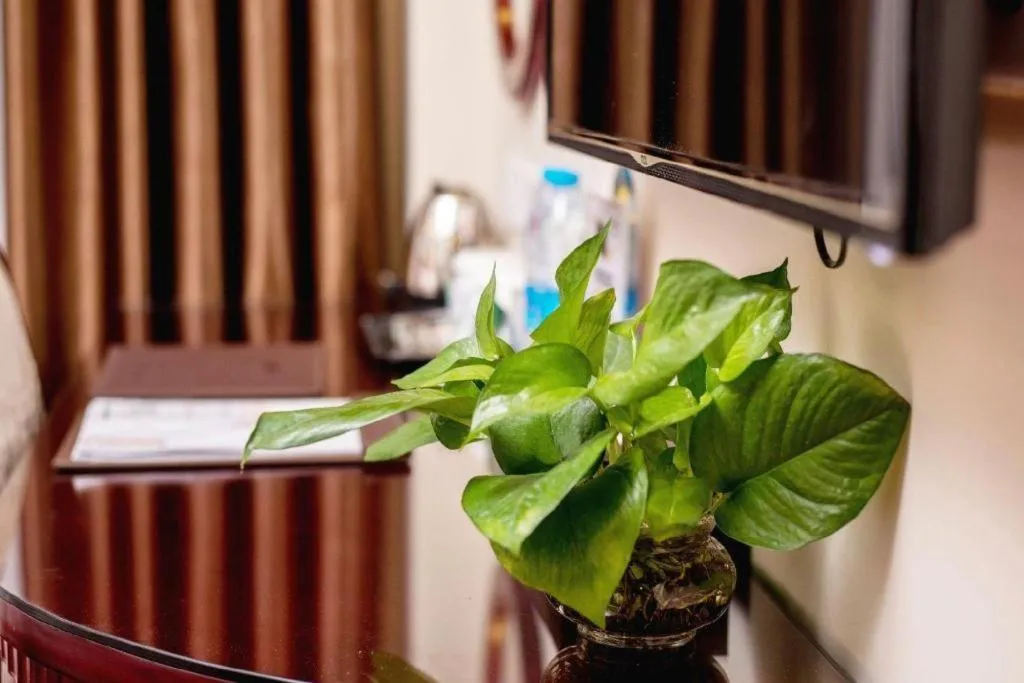 GreenTree Inn Guangzhou Baiyun International Airport Huaxi Road Express Hotel