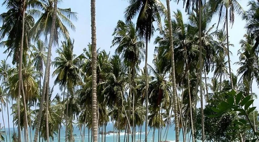 Hotel Tangoreef