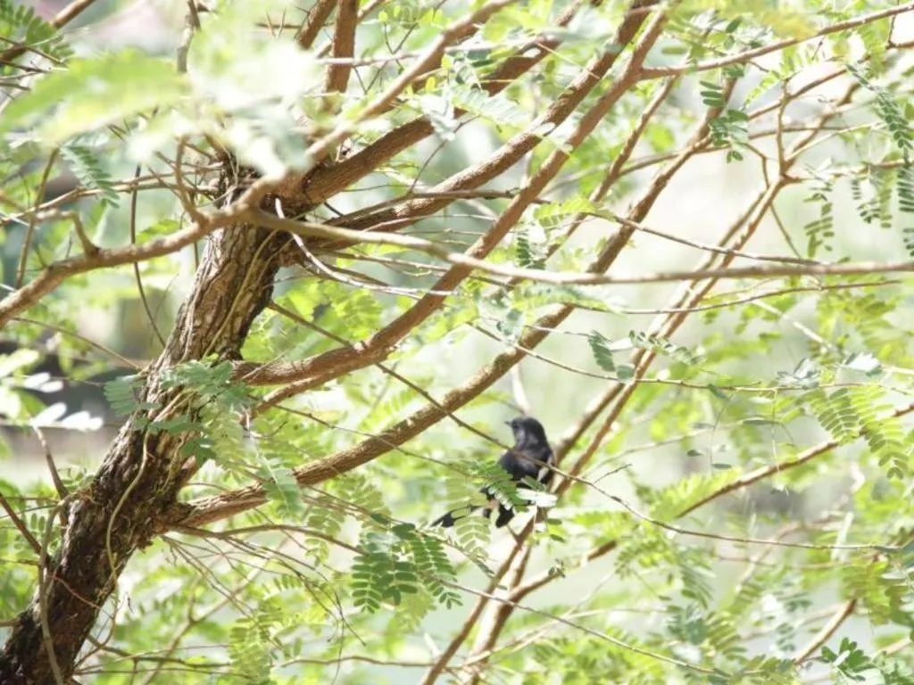 Rommai Rimnaam Resort