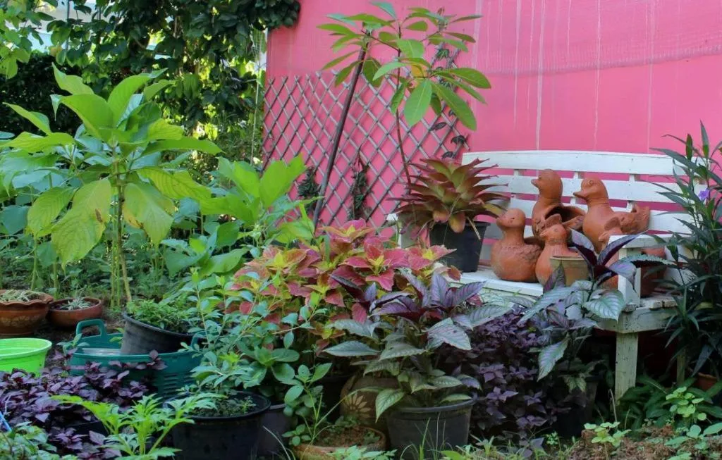 Rommai Rimnaam Resort