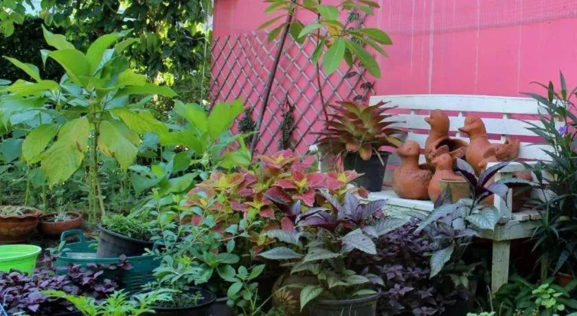 Rommai Rimnaam Resort