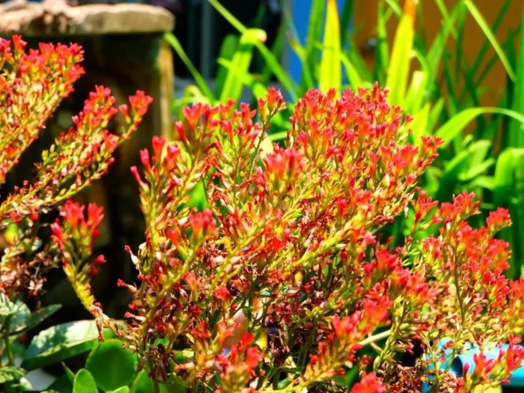 Rommai Rimnaam Resort