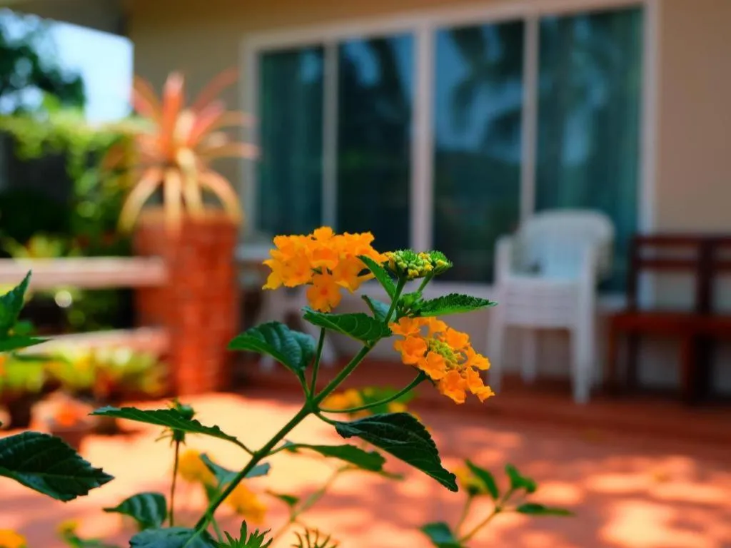 Rommai Rimnaam Resort