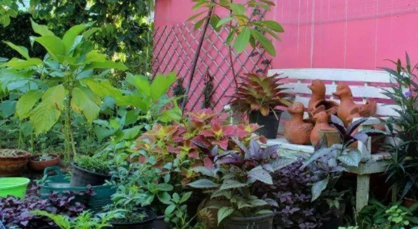 Rommai Rimnaam Resort