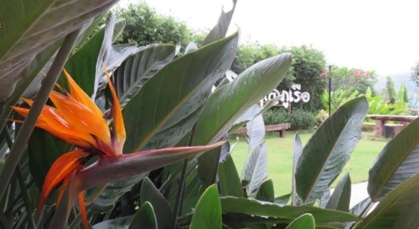 Be Cool Boutique Hotel @Phurua