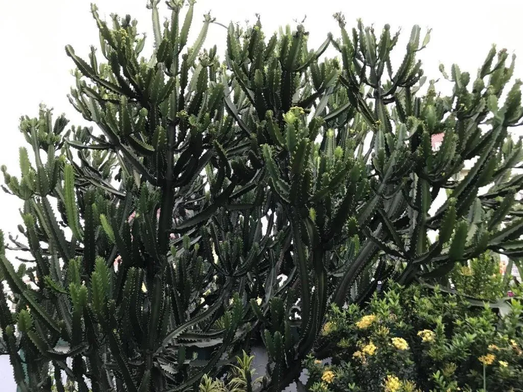 Lai Ming Hotel Cosmoland