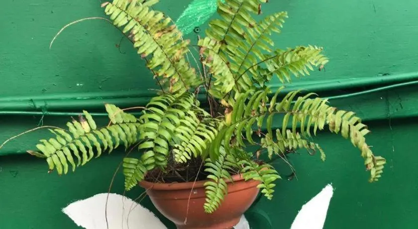 Lai Ming Hotel Cosmoland