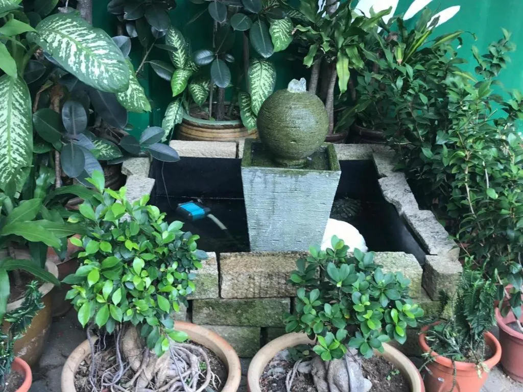 Lai Ming Hotel Cosmoland