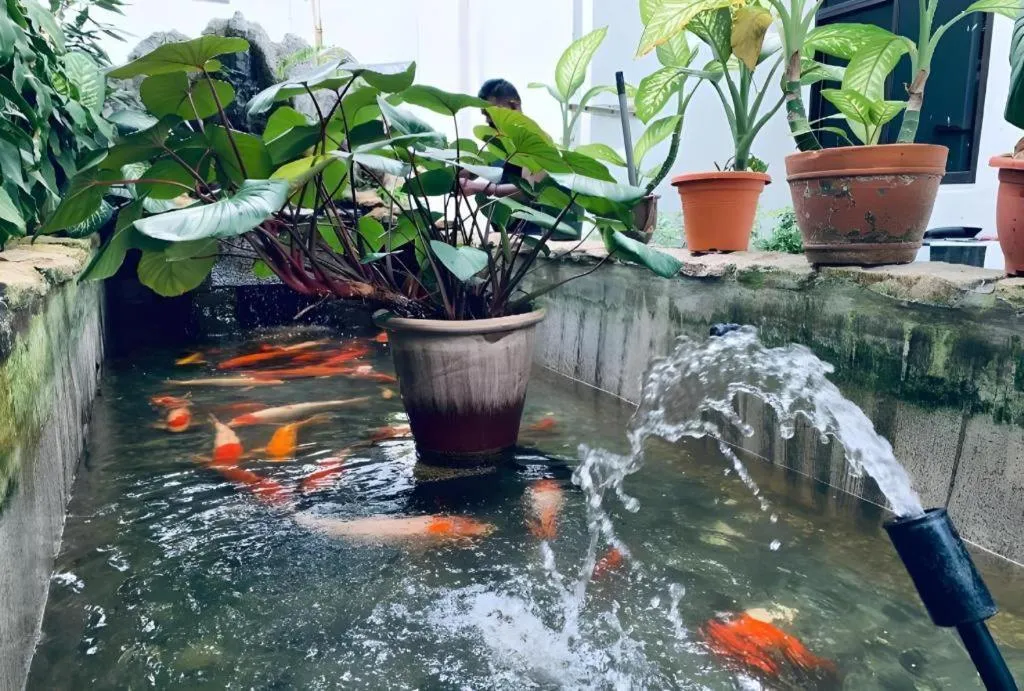 Lai Ming Hotel Cosmoland