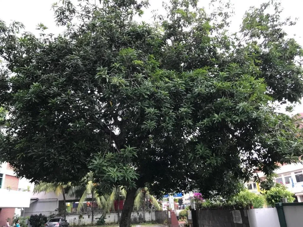 Lai Ming Hotel Cosmoland