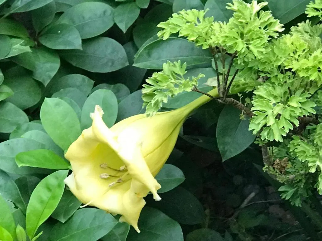 Lai Ming Hotel Cosmoland