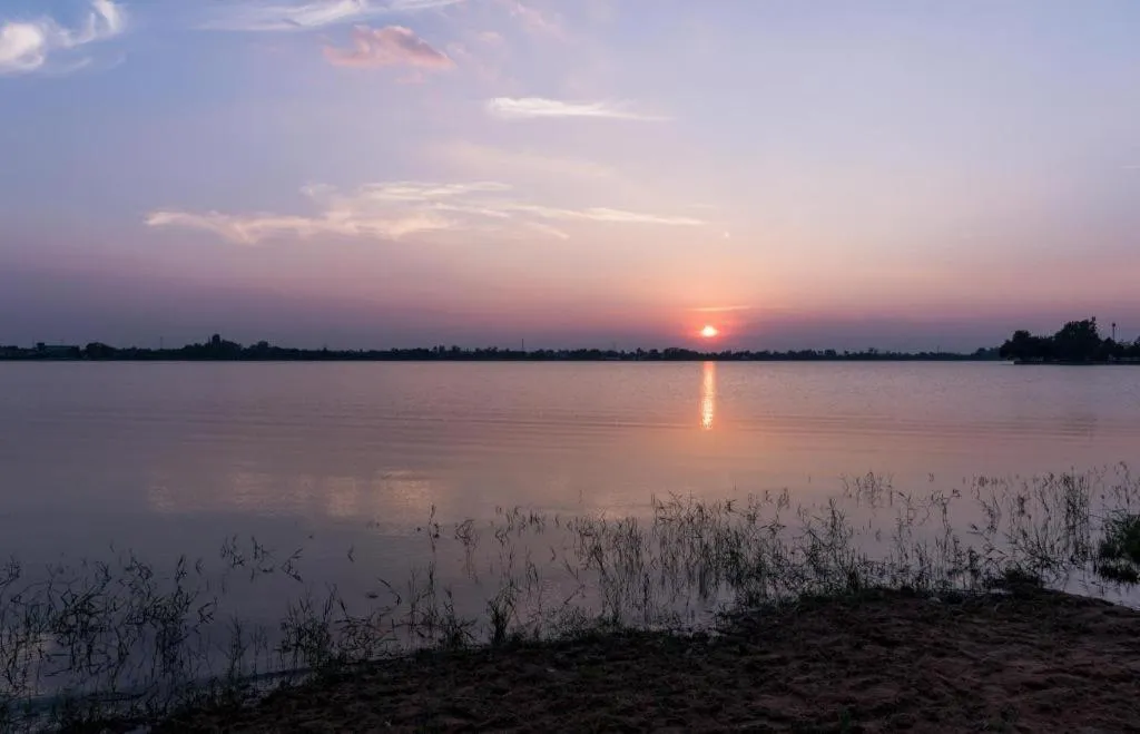 The Convenience Hotel