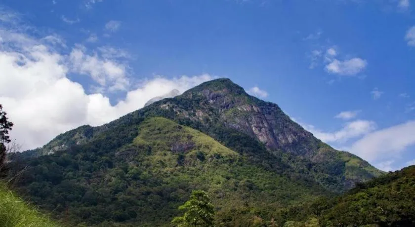 Royal Kandyan